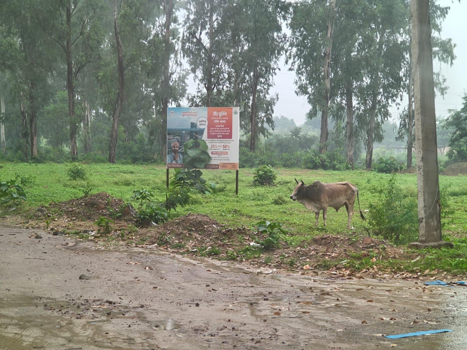 Wellness City Lucknow: Current Ground Situation