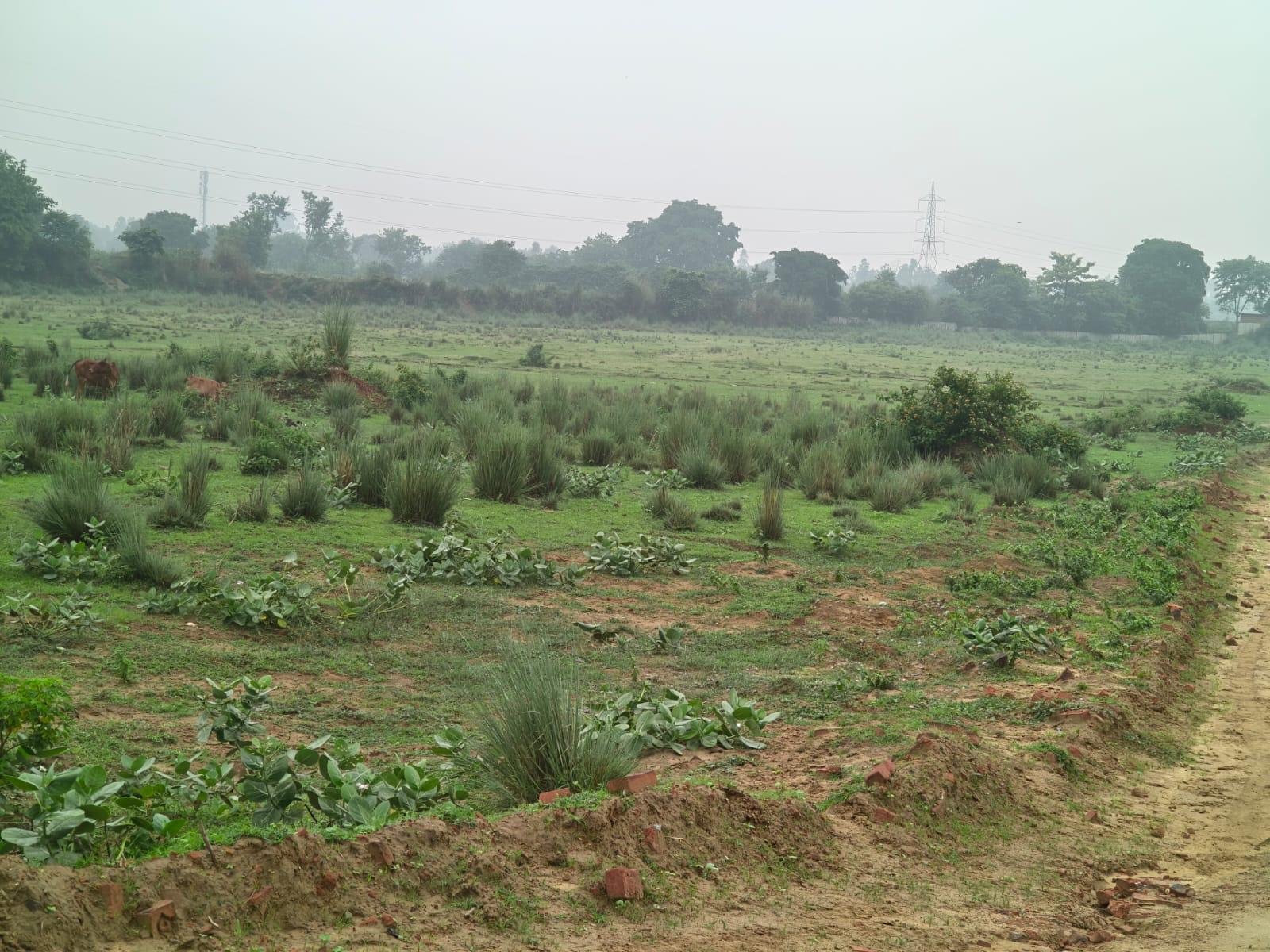 Wellness City Lucknow: Current Ground Situation