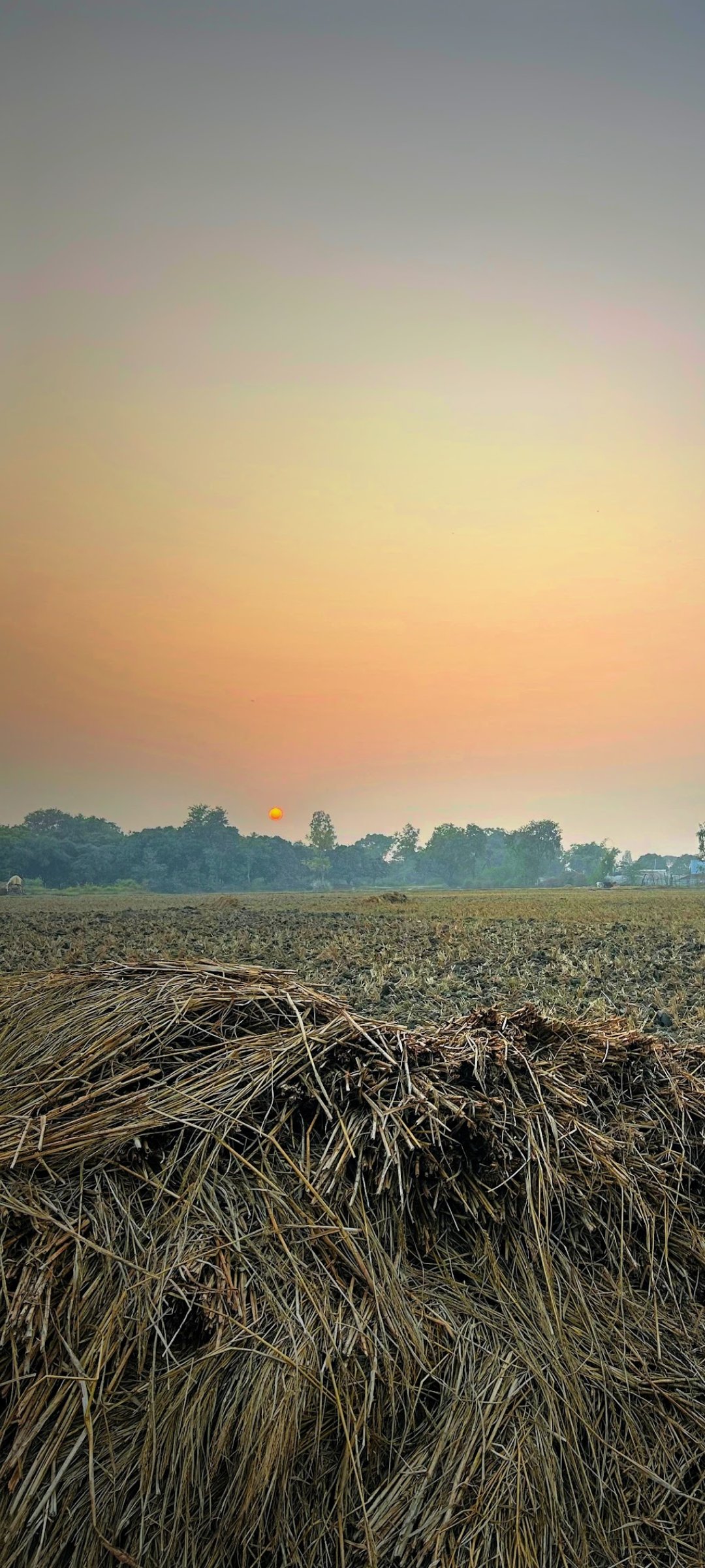 Agriculture land