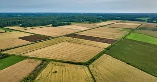 Agricultural Land for Sale in IT City Lucknow – Pahar Nagar, Tikariya